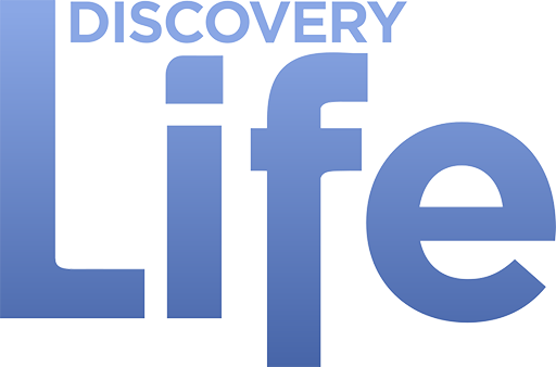 US | DISCOVERY LIFE
