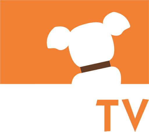 US | DOG TV