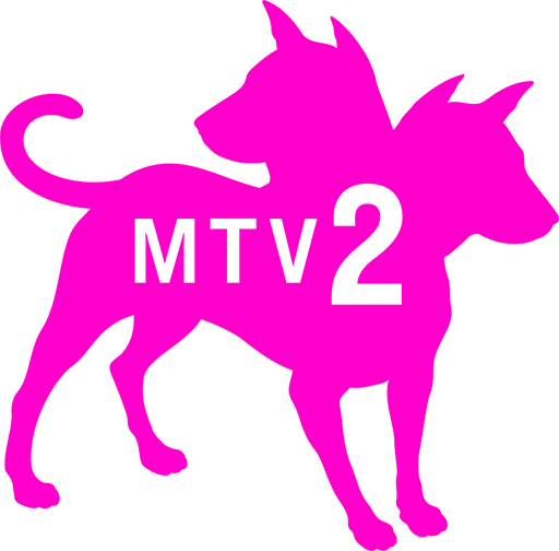 US | MTV2