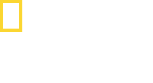 US | Nat Geo Wild HD